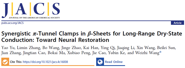 80bd5cfe9d7f40ccb8a022591a4e6960 (1)_副本.png